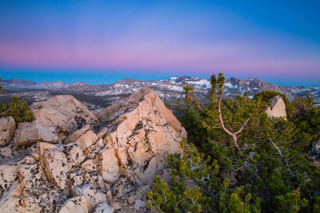 Pale granite summit and small pines beneath a pink and blue twilight sky