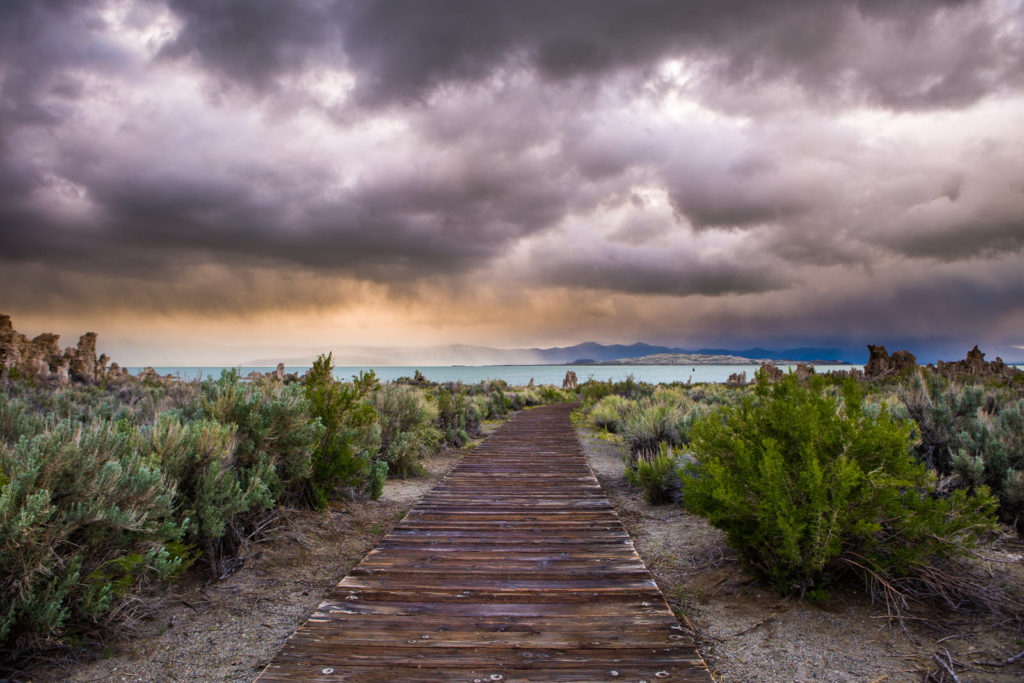 Wooden boardwalk crossing sagebrush beneath dramatic storm clouds