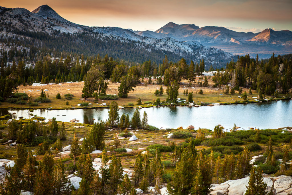 Alpine lake and meadow surrounded by pine forest and granite peaks