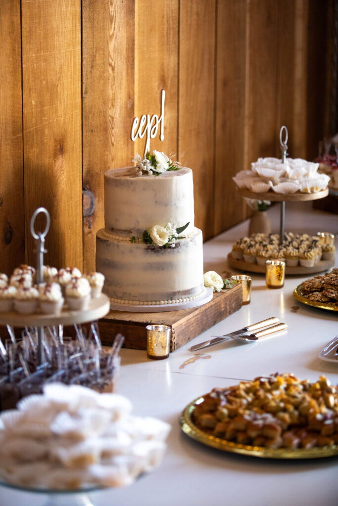 Negin and Chris wedding photography in the Eastern Sierra