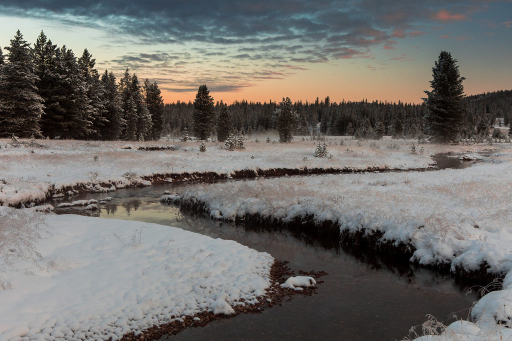 Winding creek through a snowy meadow and pine forest