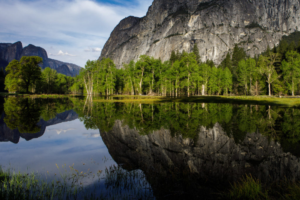 Yosemite Valley cliffs and green trees reflected in the Merced River