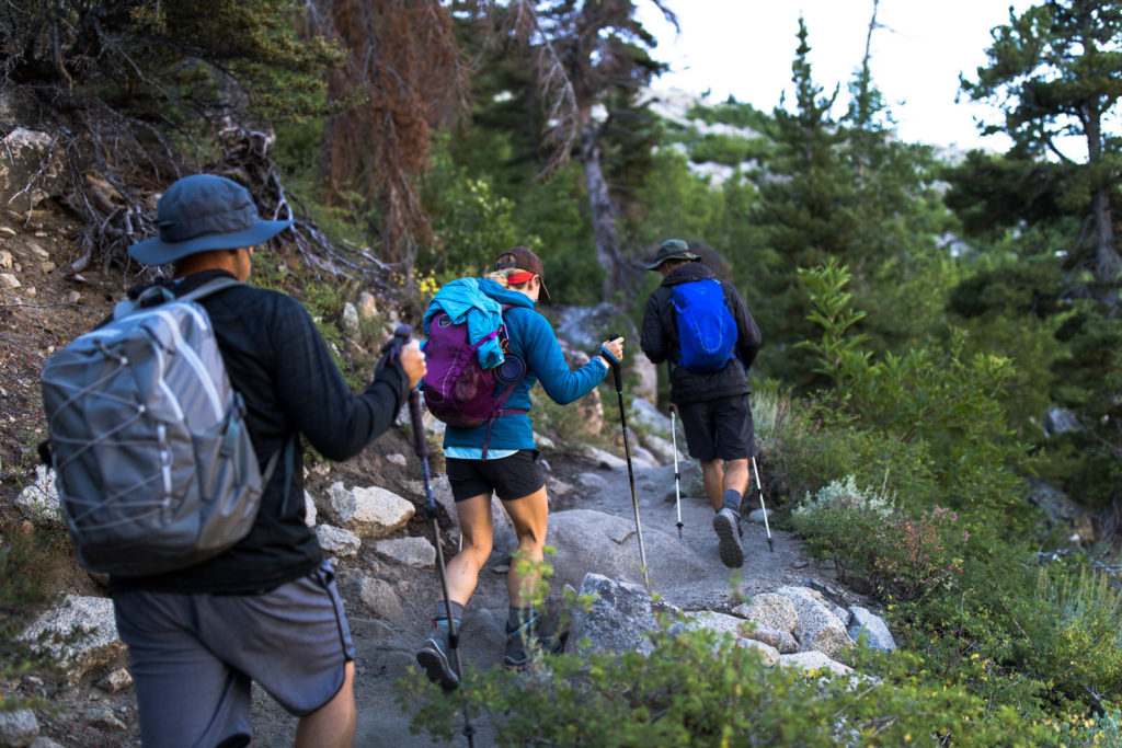 Backpackers walking along a forest trail