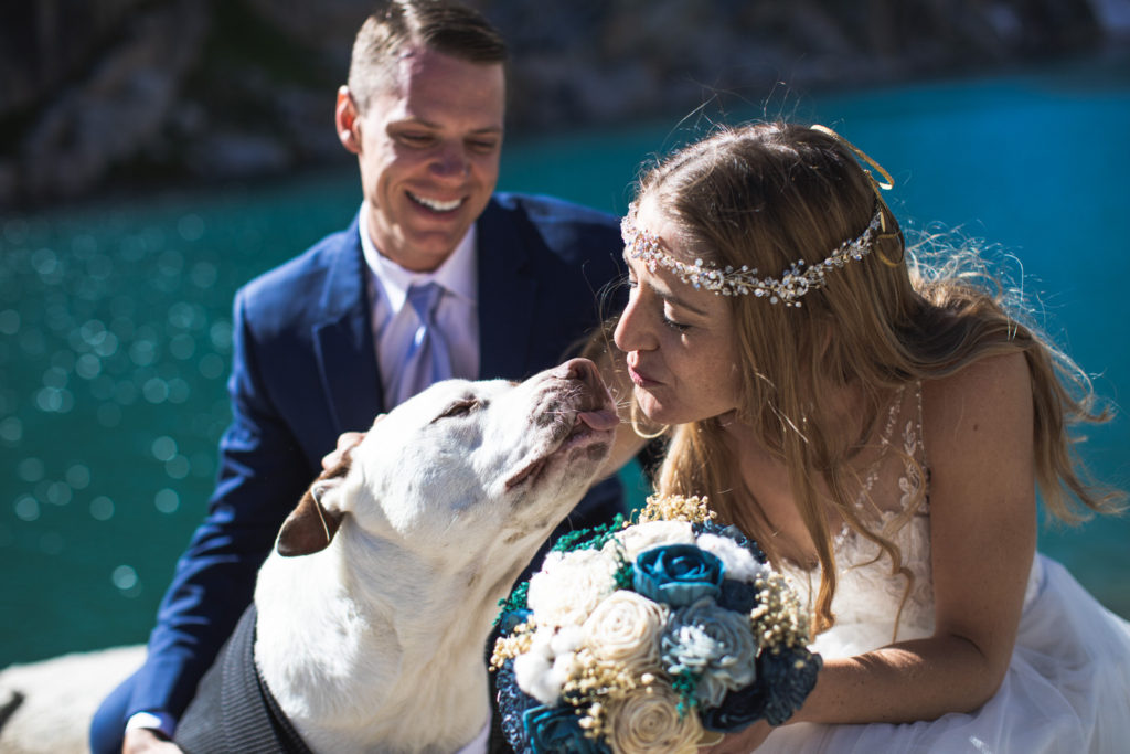 White dog greeting the bride while the groom smiles
