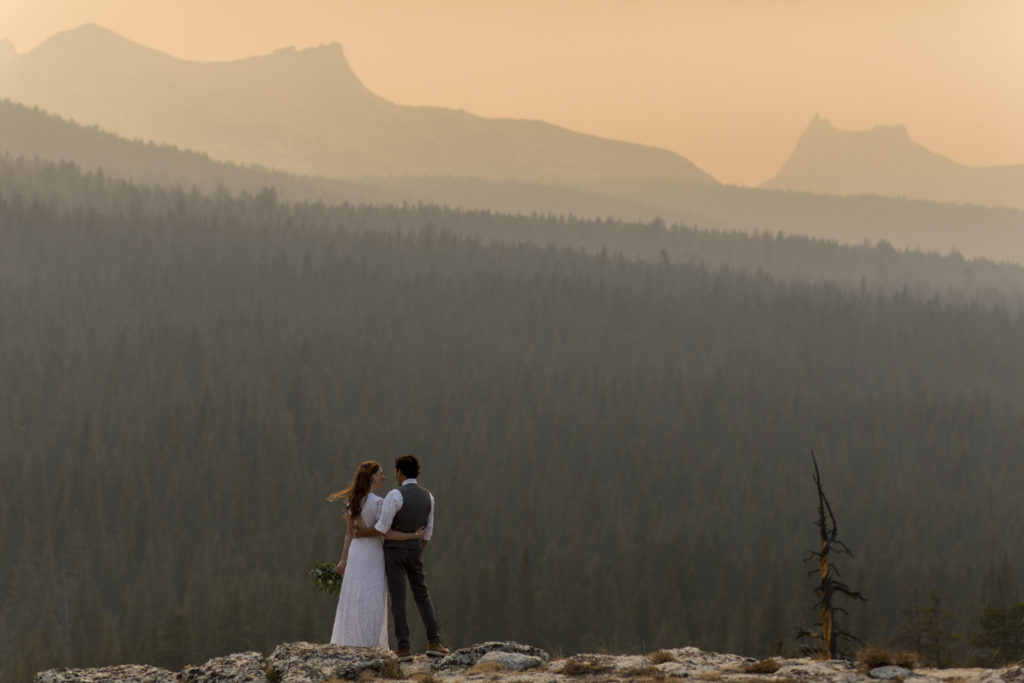 Newlyweds looking out over a forested mountain valley