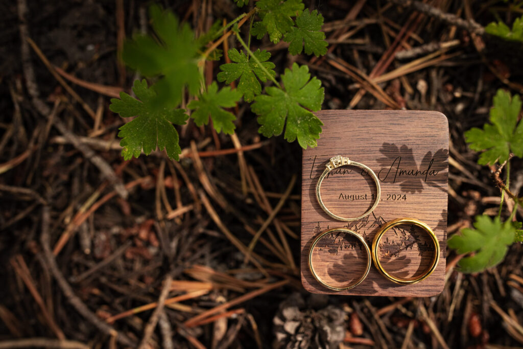 Wedding rings in a wooden box on the forest floor
