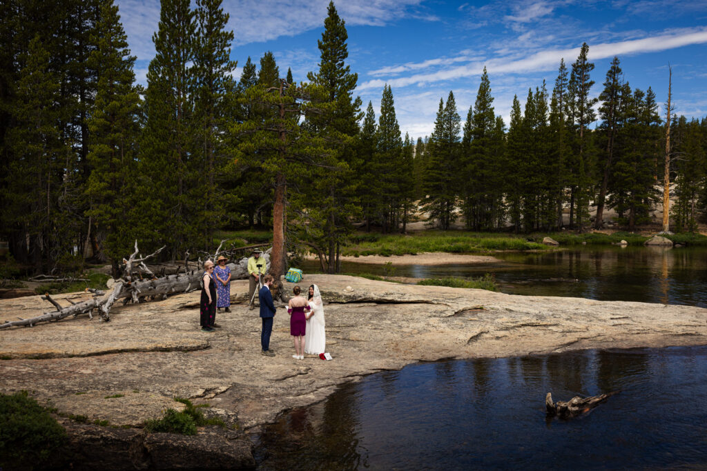 Wedding party walking along the shore of a forest lake