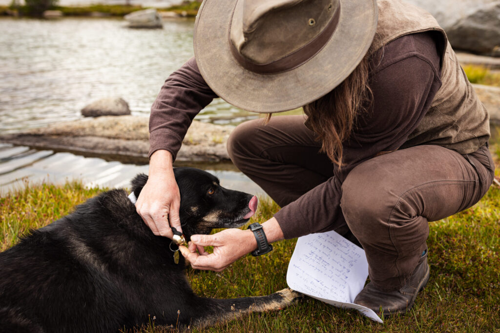 Officiant crouching to greet a dog beside the ceremony site