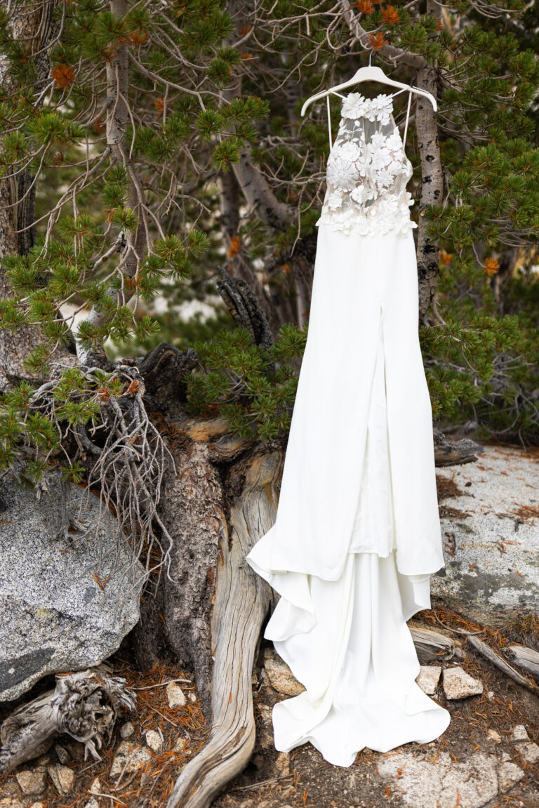 Wedding dress hanging from a tree at a mountain campsite