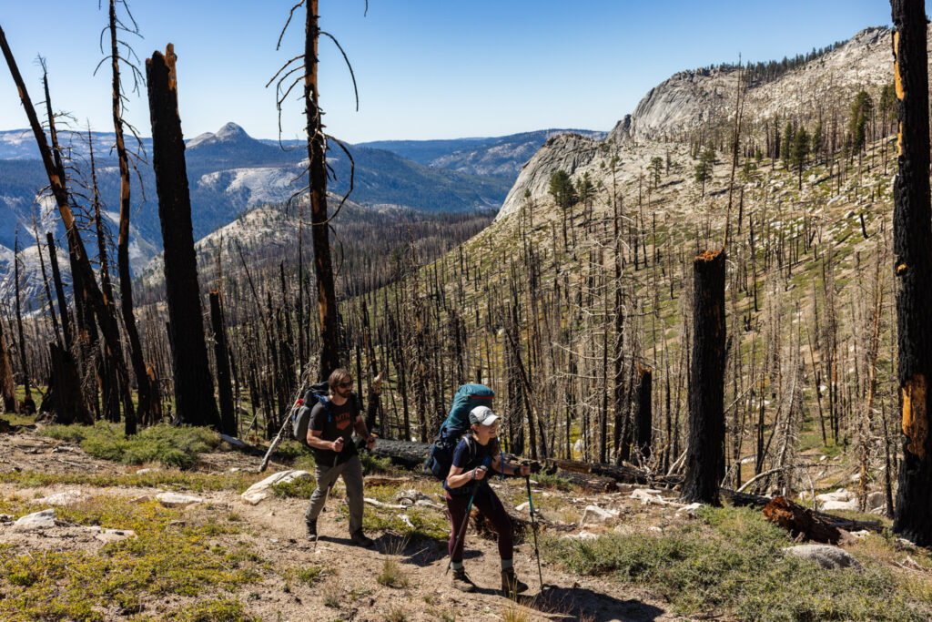Two hikers on a mountain trail through standing burned trees