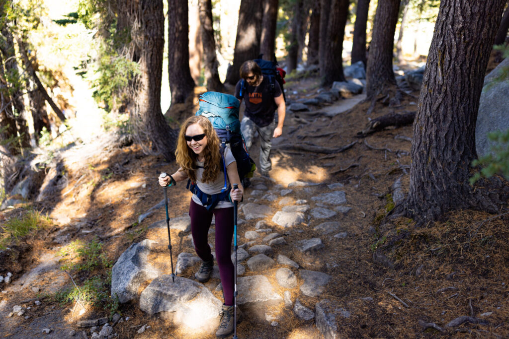 Backpackers hiking up a rocky trail through tall trees