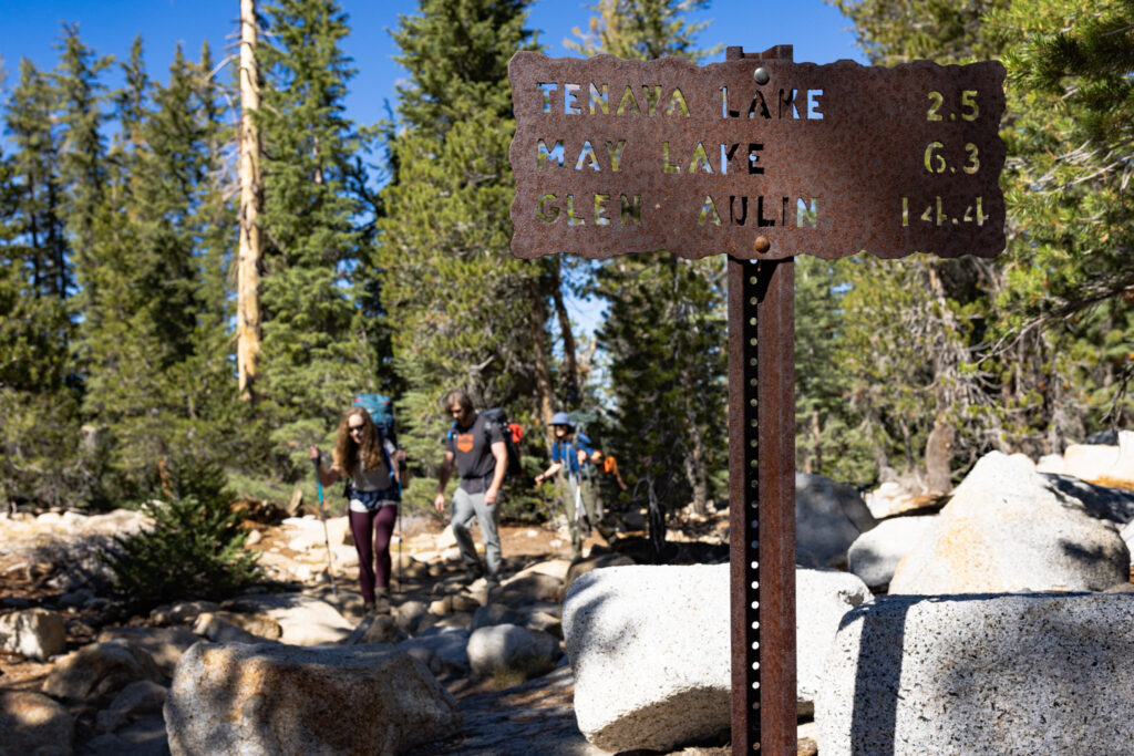 Hikers beside a trail sign in a pine forest