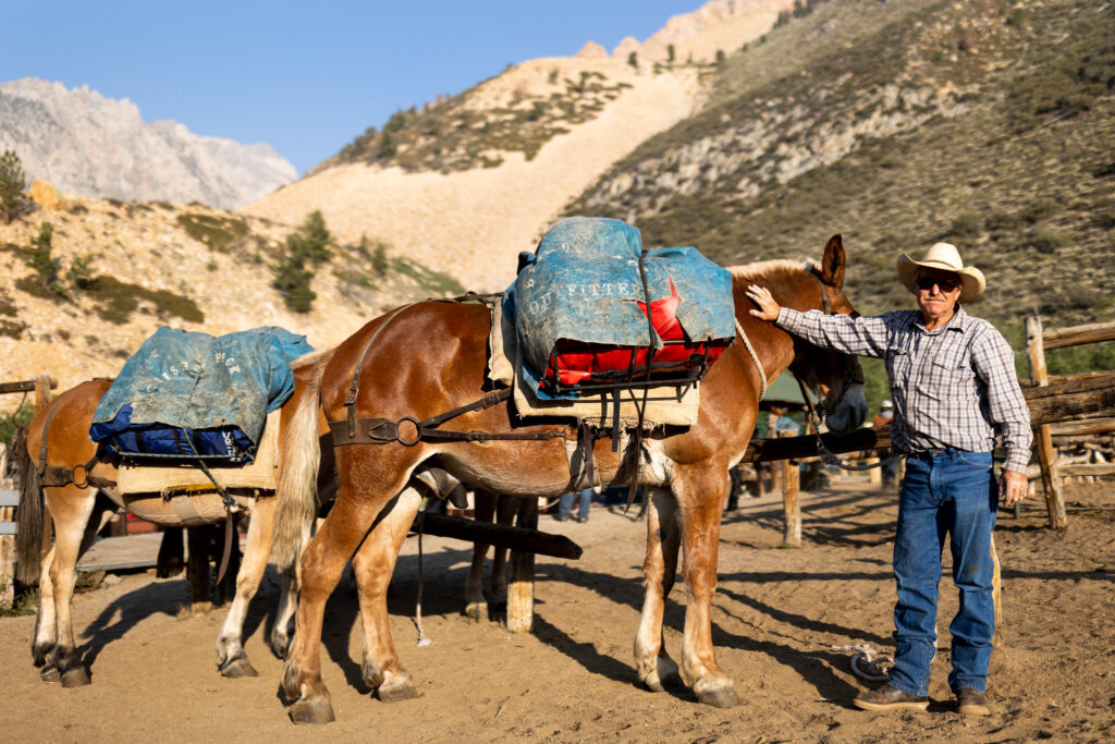 Packer preparing loaded mules for a mountain trip