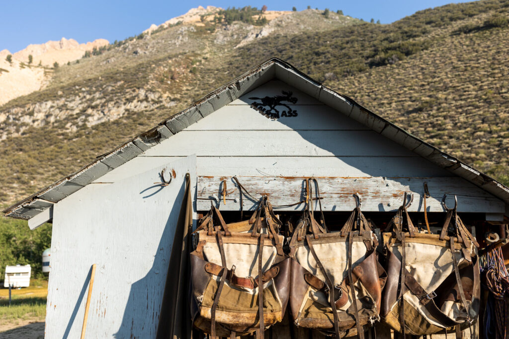 Pack saddles and tack hanging outside a mountain outfitter’s building
